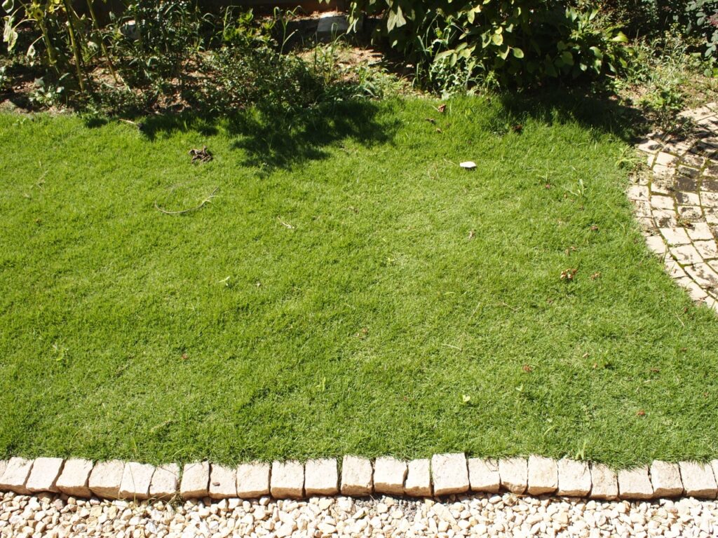 芝生がきれいに生えそろった庭
