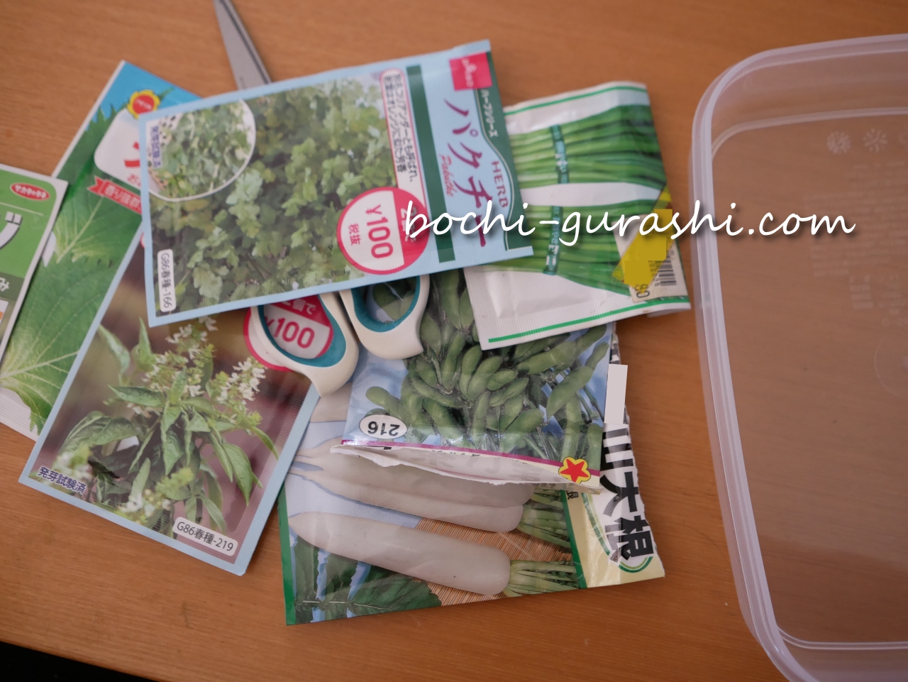 買ってあった種