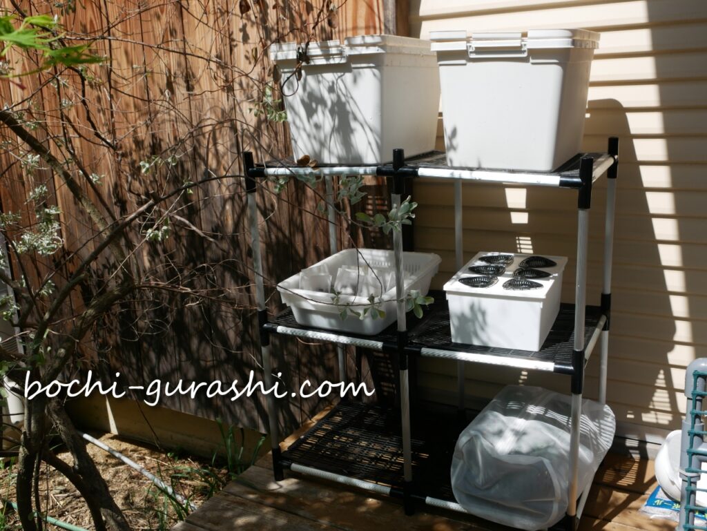 セリアのアルミラックで水耕栽培の管理