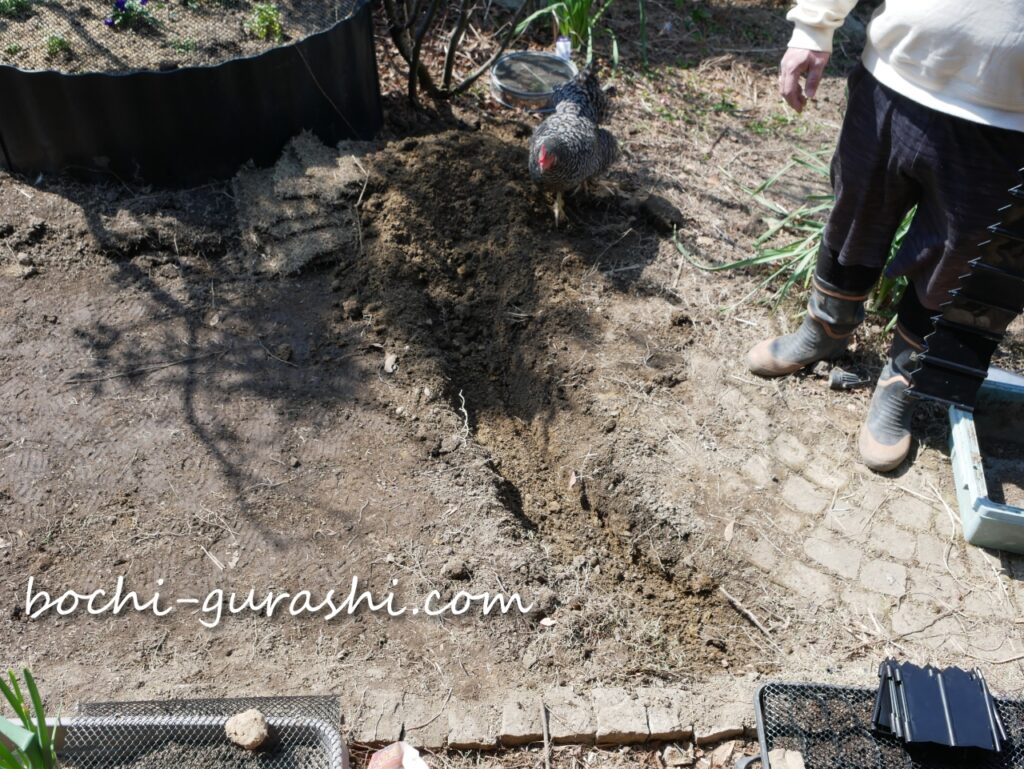 芝の根ストッパーを並べるために掘った穴