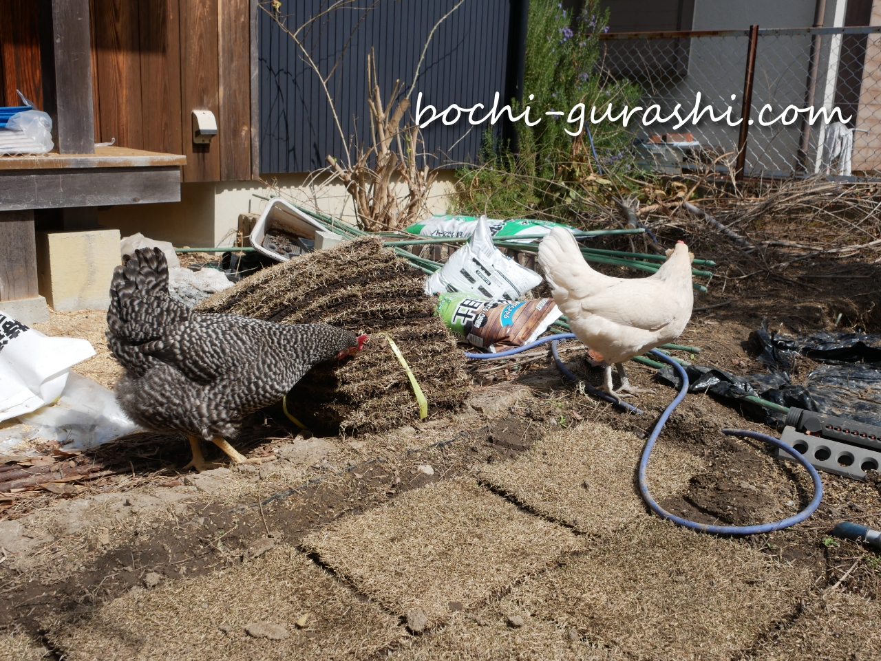 芝生の買い置きを並べていく