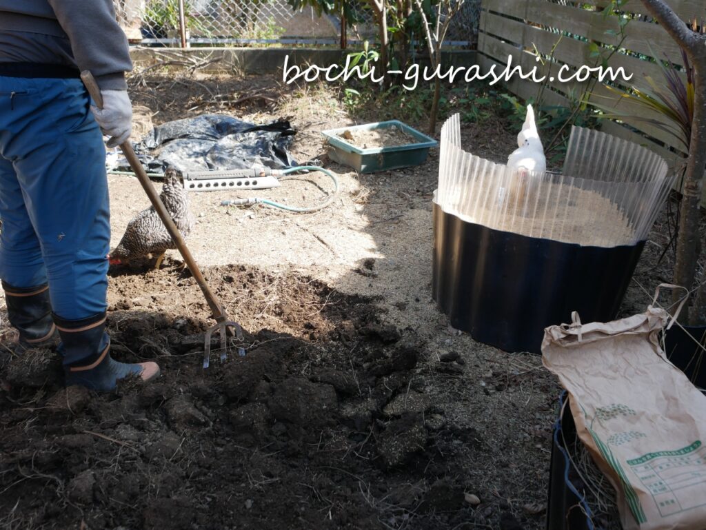 芝を張りなおすために掘り起こしを行う