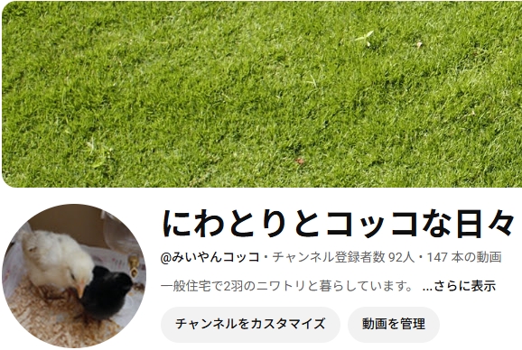にわとりとコッコな日々